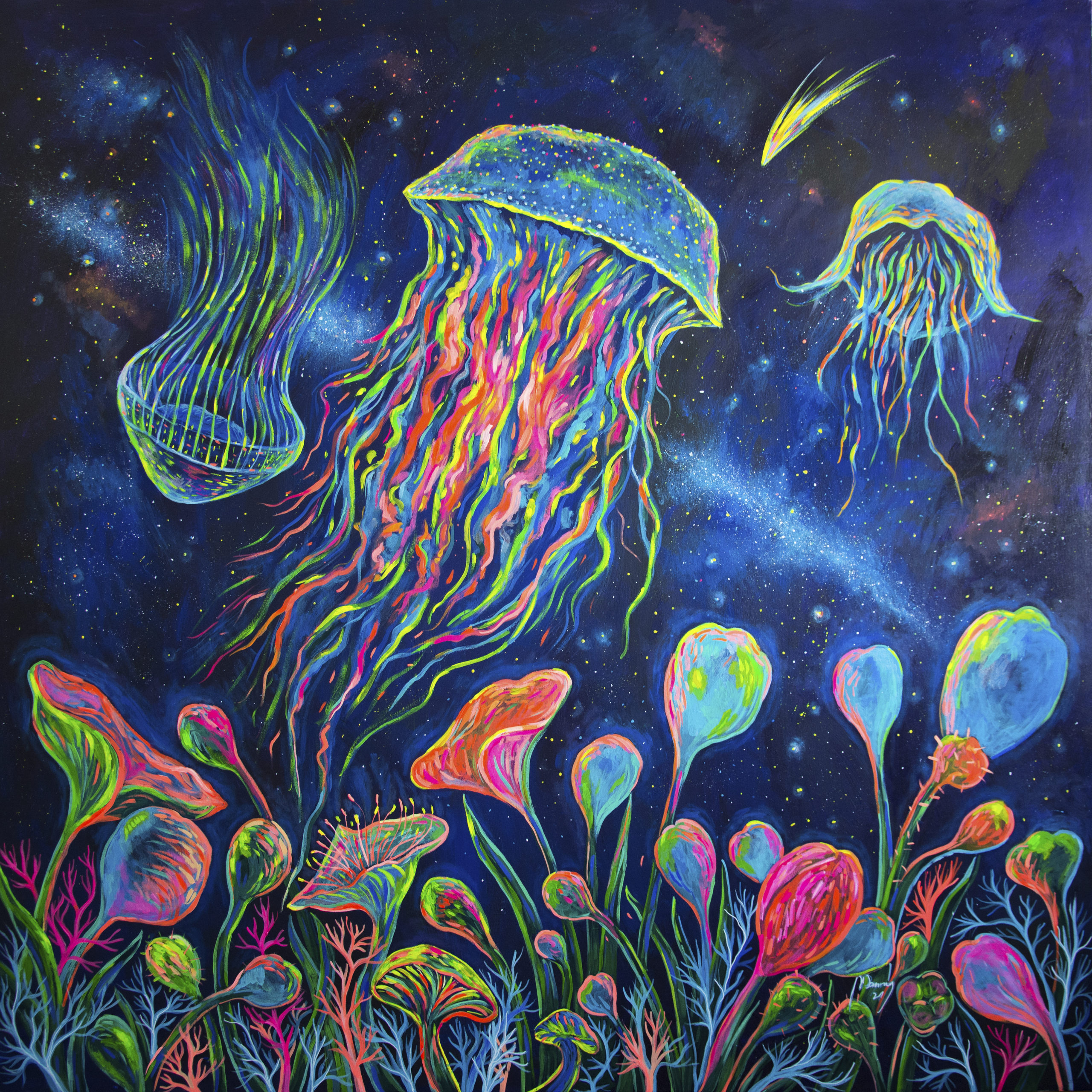 Celestial Jellyfish